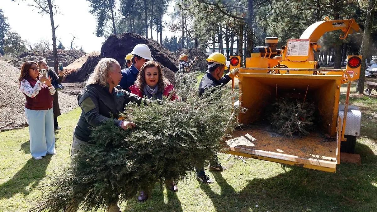 WhatsApp Image 2026-01-09 at 15.36.21