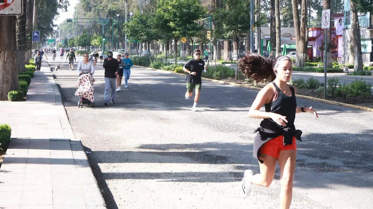 009f0284-9594-4abe-bd90-709fa4c9ea98