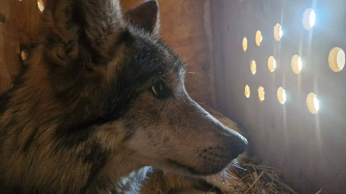 5487af16-26a7-4c8f-ad8e-7e0126f28113