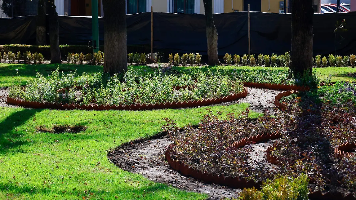 WhatsApp Image 2026-01-11 at 13.52.59