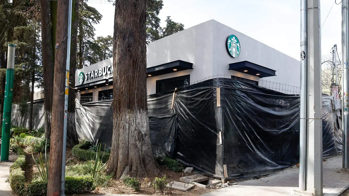 starbucks-paseo-colon