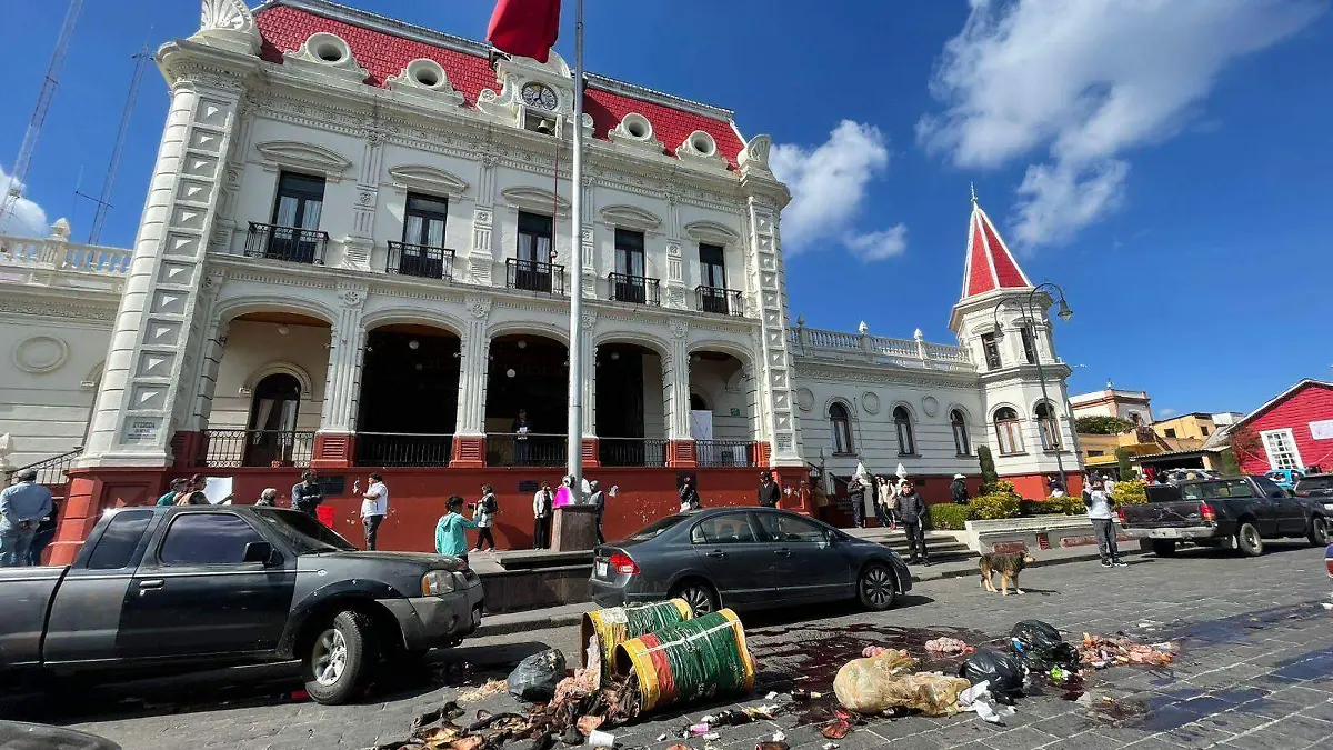 WhatsApp Image 2026-01-16 at 12.02.26