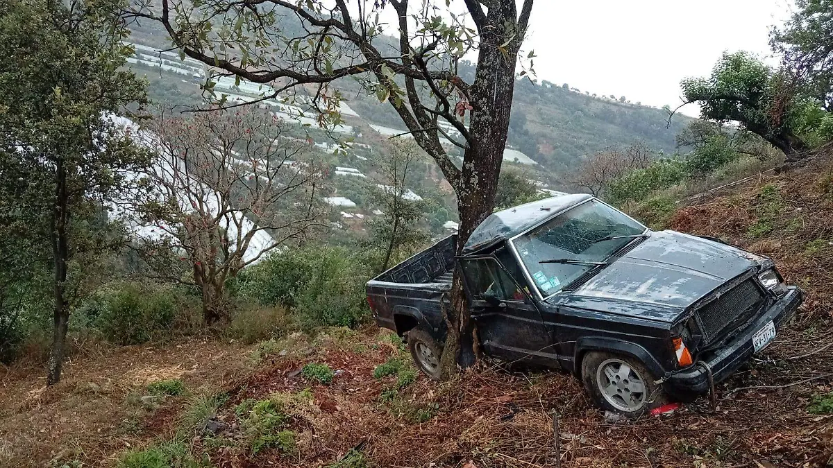 WhatsApp Image 2026-01-16 at 20.31.05 (1)