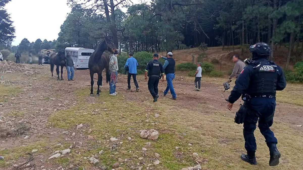 WhatsApp Image 2026-01-19 at 12.32.14