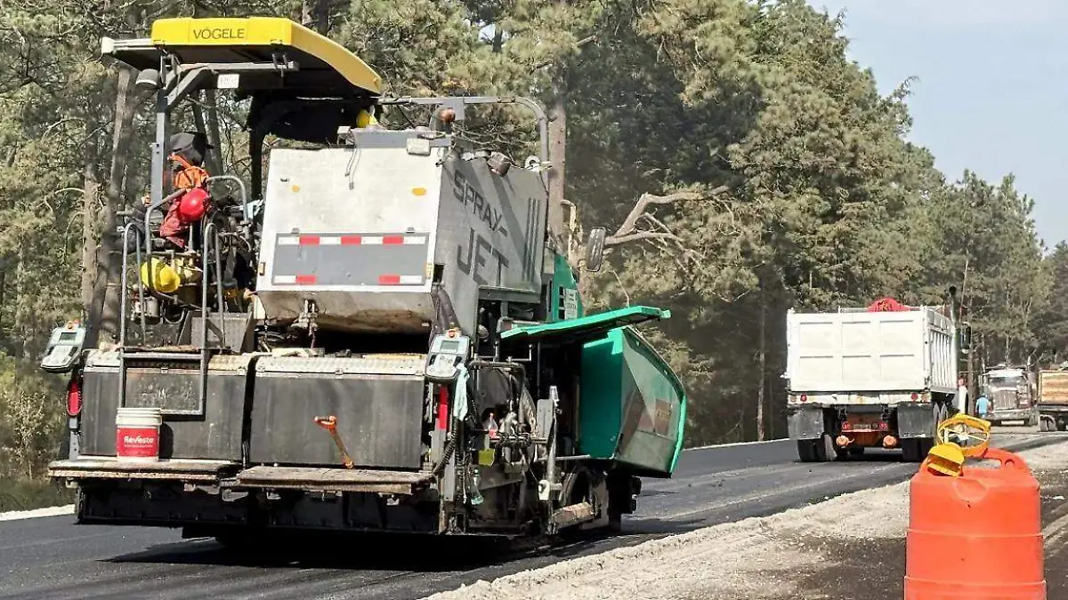 WhatsApp Image 2026-01-19 at 16.46.01