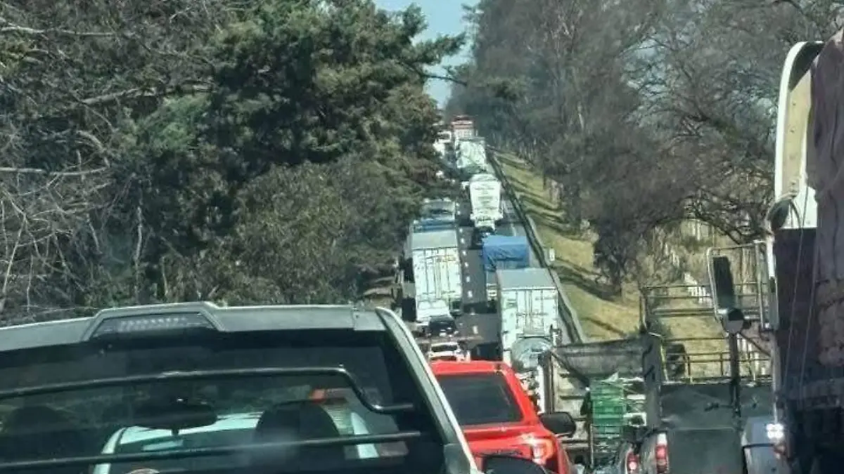 WhatsApp Image 2026-01-19 at 18.07.18