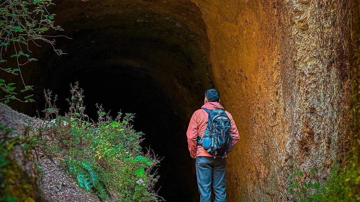 WhatsApp Image 2026-01-19 at 4.47.30 PM