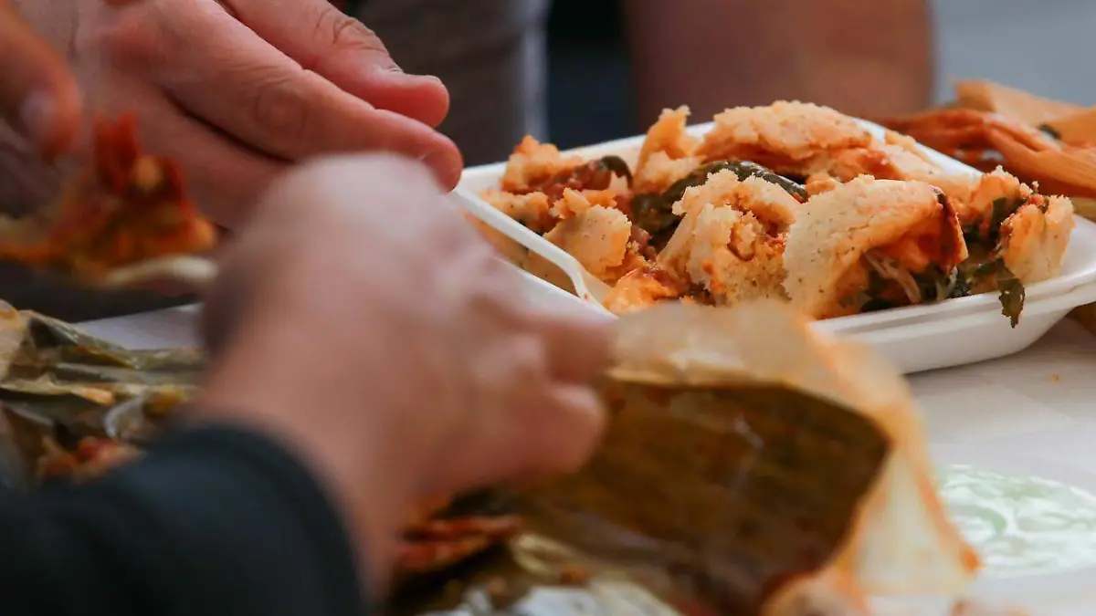 WhatsApp Image 2026-01-20 at 14.00.52