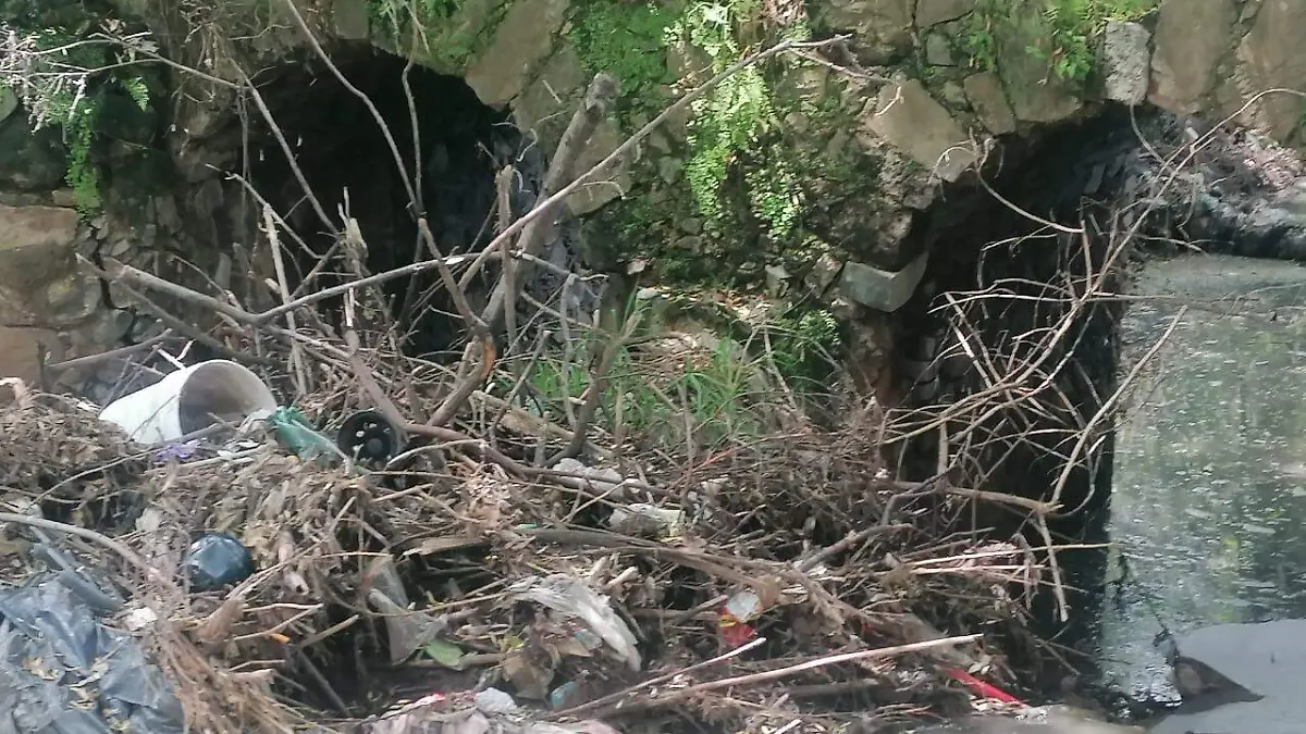 1b45437b-40f5-4501-ab5d-1b30633b3555