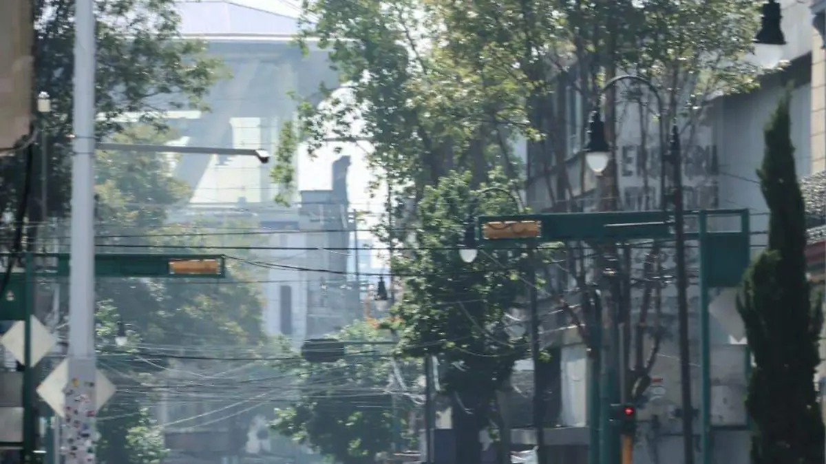 WhatsApp Image 2026-01-23 at 9.24.25 PM