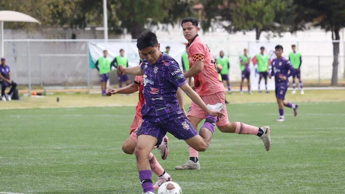 WhatsApp Image 2026-01-24 at 5.23.42 PM (1)