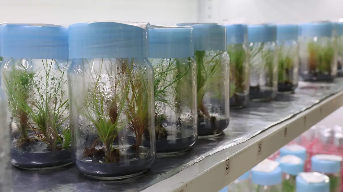 WhatsApp Image 2026-01-24 at 2.03.21 PM