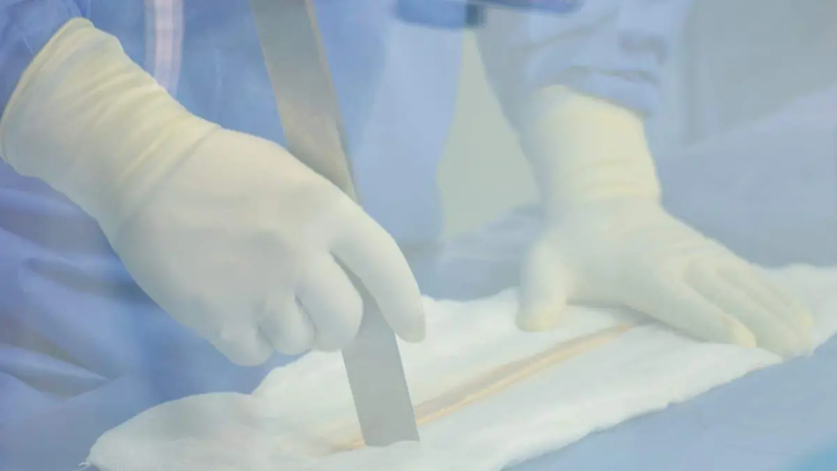 WhatsApp Image 2026-01-25 at 16.31.27