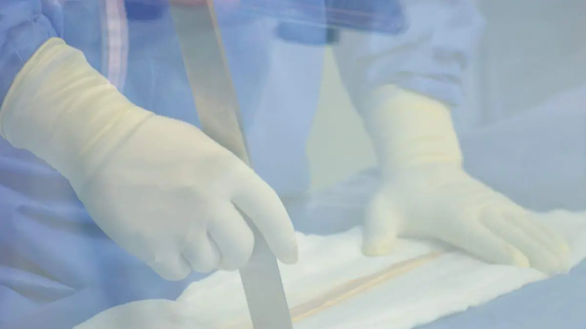 WhatsApp Image 2026-01-25 at 16.31.27