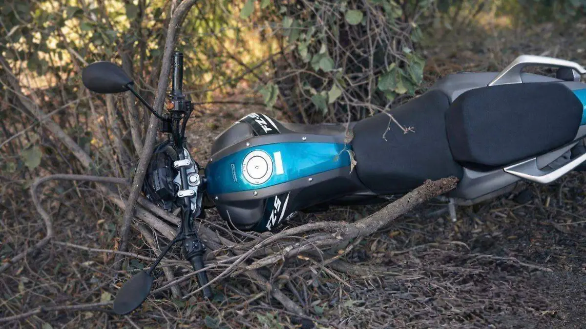 5b8508f7-319d-4dca-852a-f844b13a922e