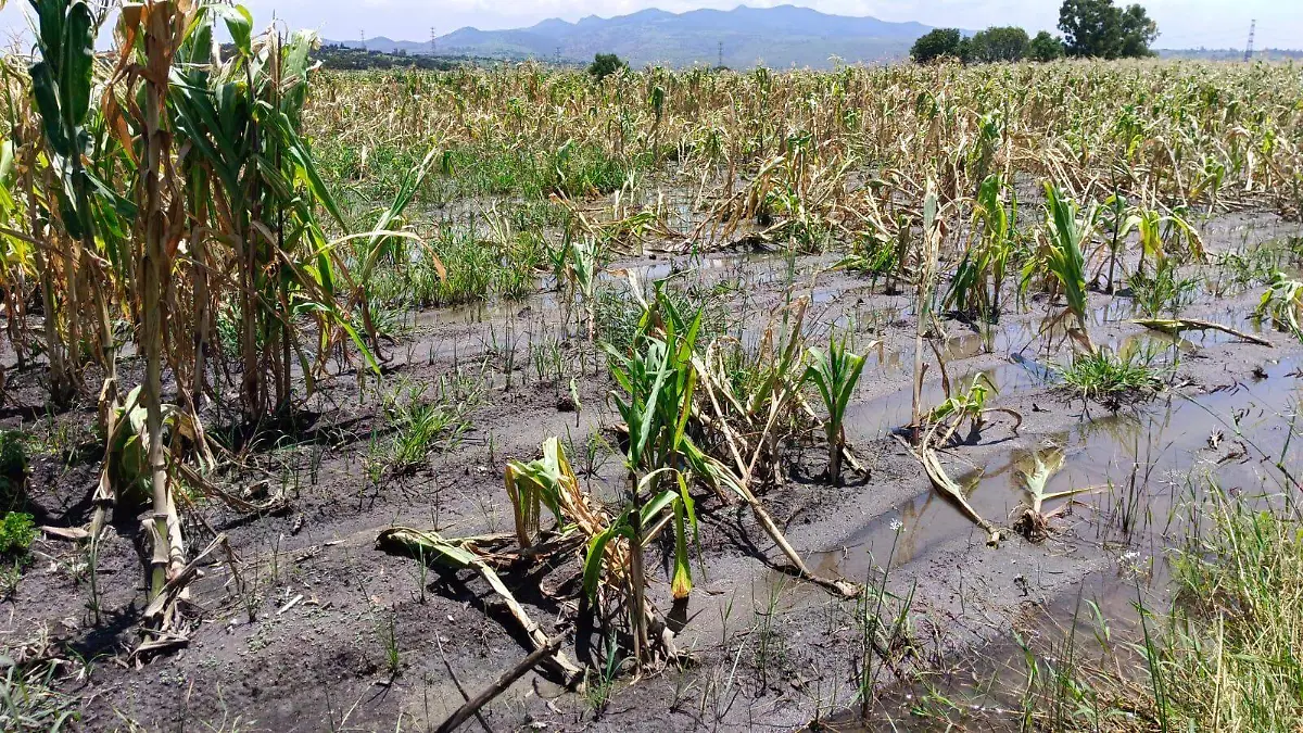 547951276_1176088281217662_4088114910883969684_n