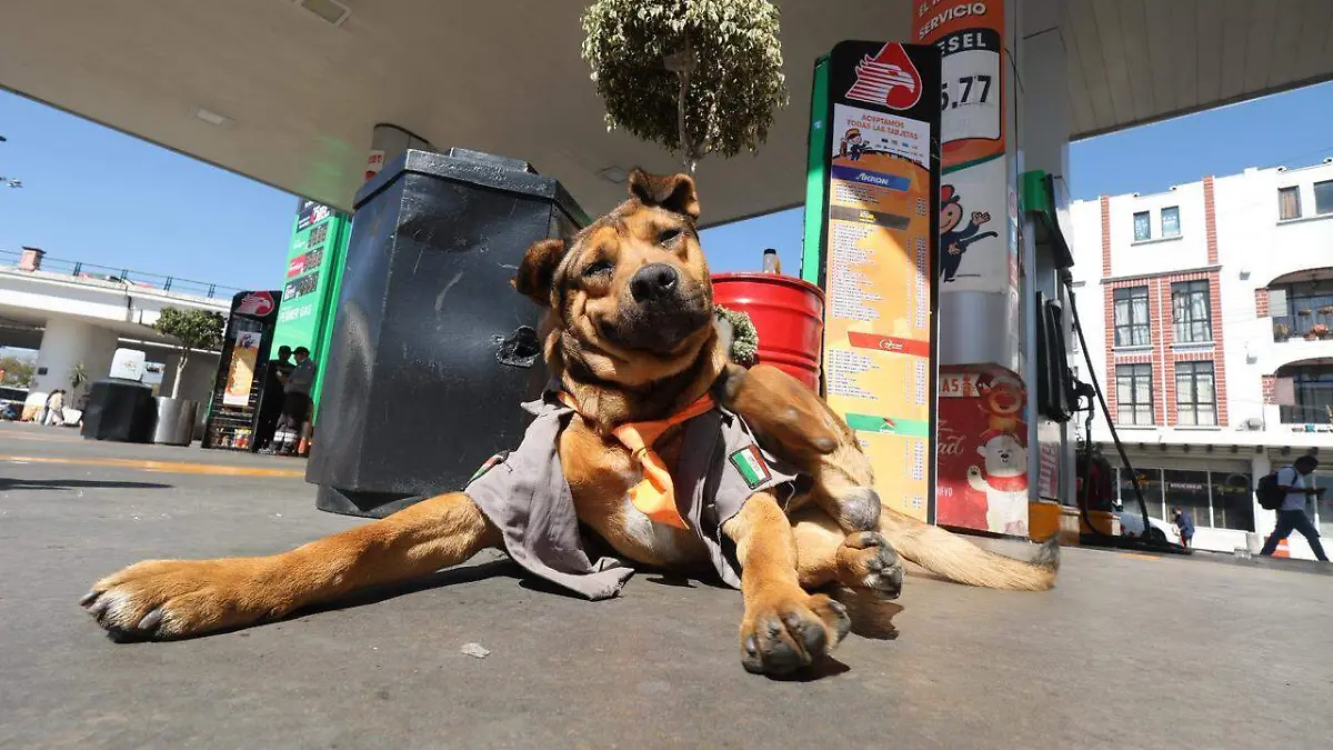 WhatsApp Image 2026-01-26 at 2.09.58 PM