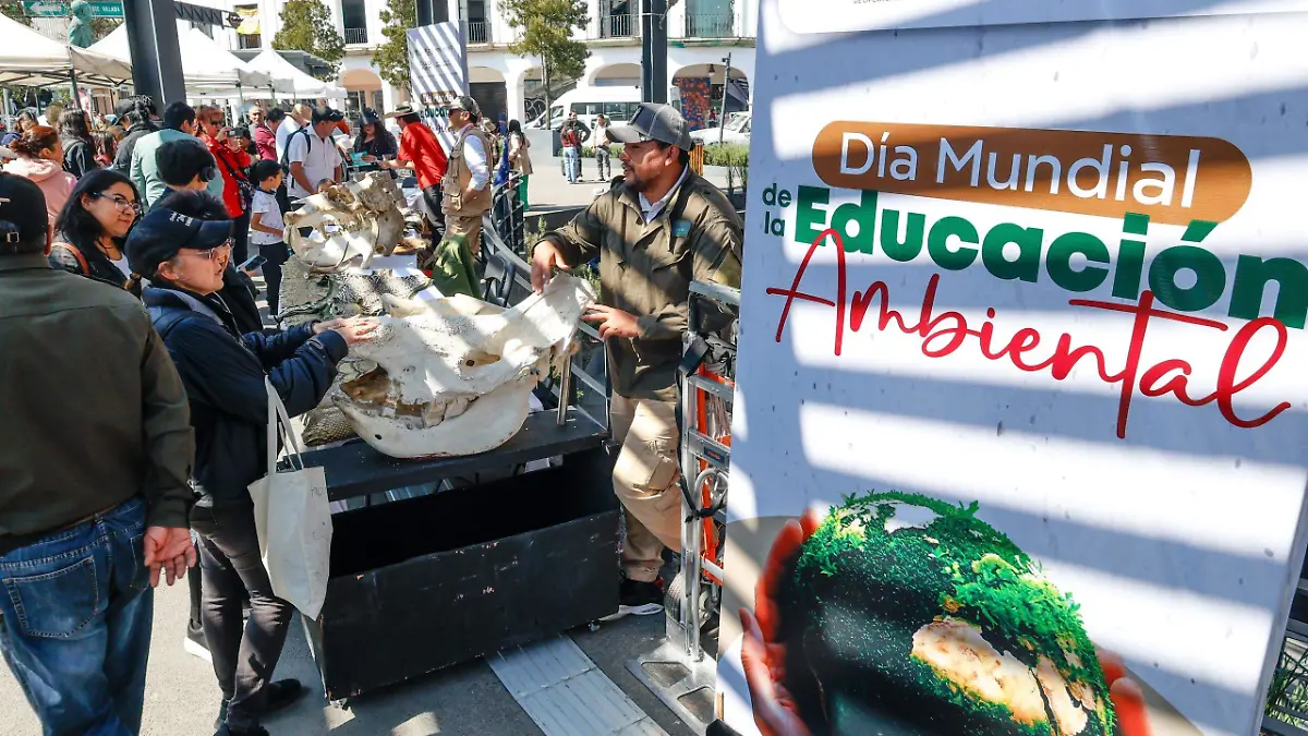 67b8d040-47fc-404b-a206-63972ff0101a