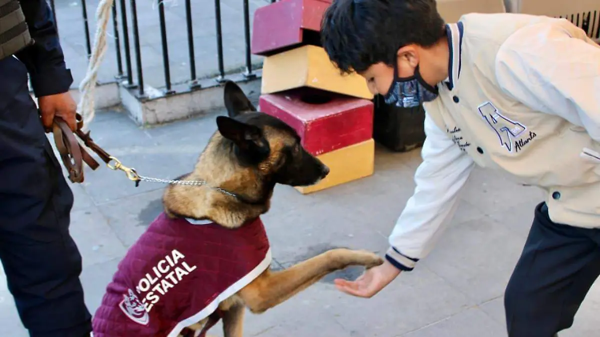 feria-seguridad-almoloya-de-juarez, caninos-policias