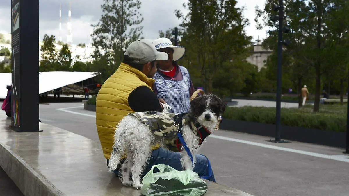 WhatsApp Image 2026-01-29 at 8.29.01 PM