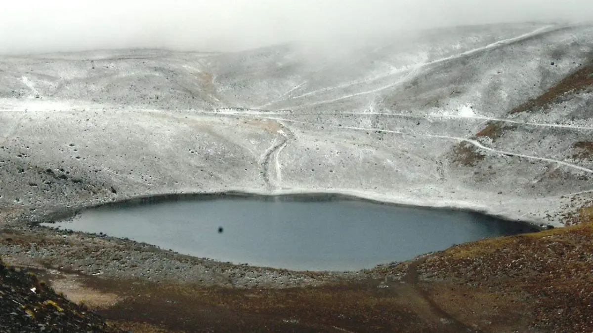 WhatsApp Image 2026-01-30 at 5.12.01 PM