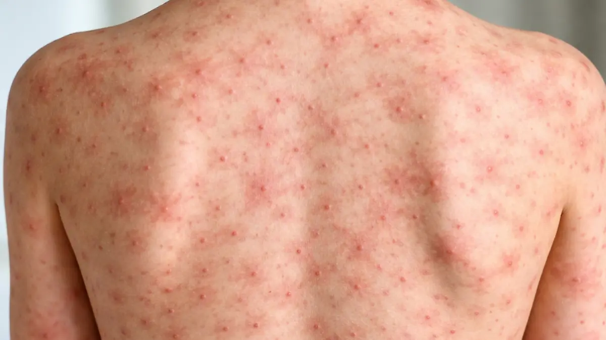 ChatGPT Image 4 feb 2026, 07_33_17 p.m.