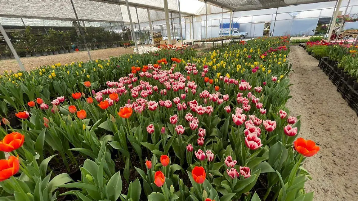 WhatsApp Image 2026-02-04 at 7.46.43 PM