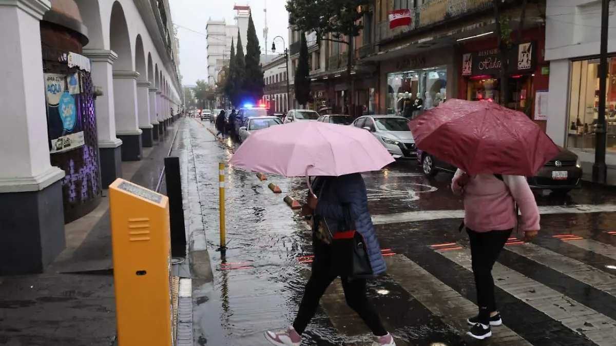 WhatsApp Image 2026-02-04 at 5.35.52 PM