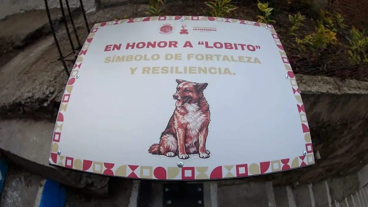 Callejón del Lobito