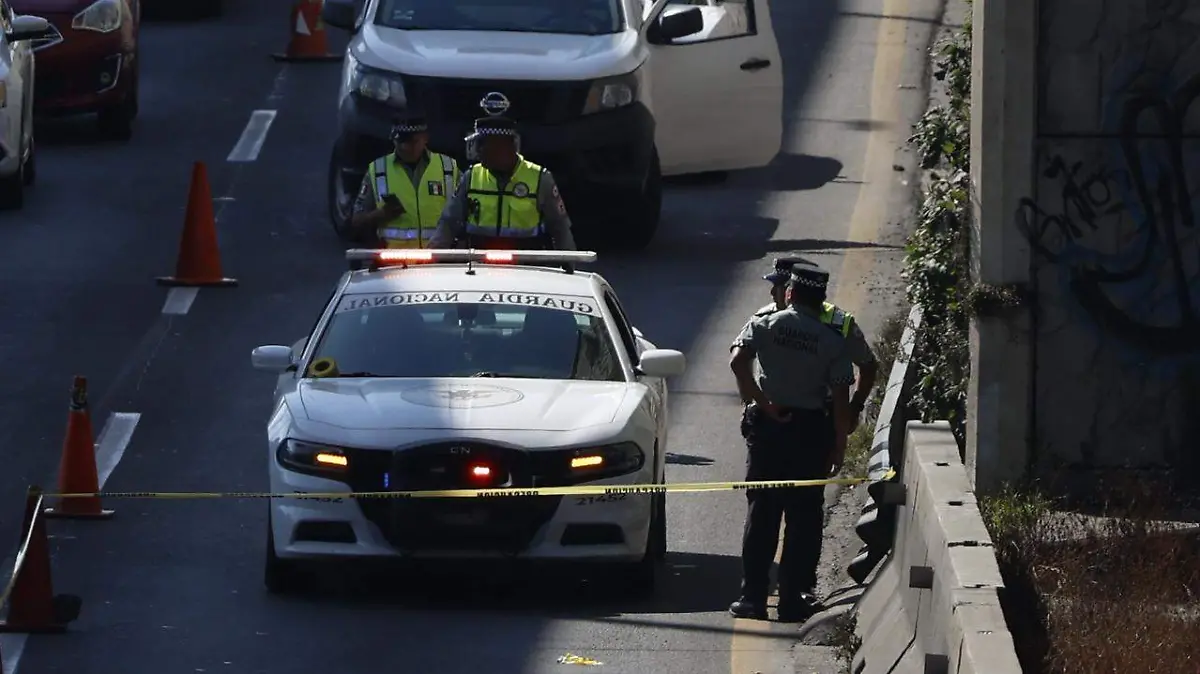 WhatsApp Image 2026-02-08 at 4.54.05 PM