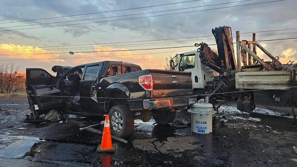 WhatsApp Image 2026-02-08 at 7.02.54 PM