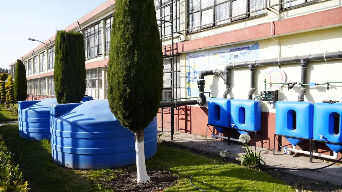 WhatsApp Image 2026-02-09 at 07.51.35