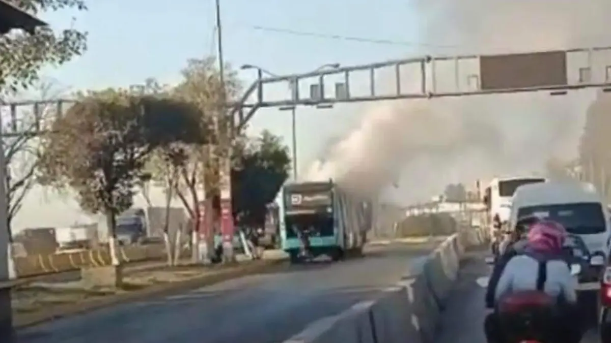 WhatsApp Image 2026-02-09 at 11.35.14