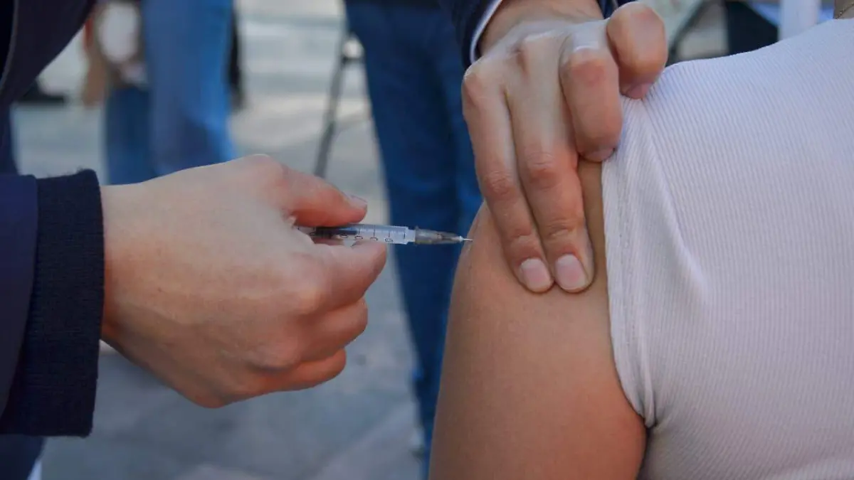 WhatsApp Image 2026-02-09 at 14.28.41