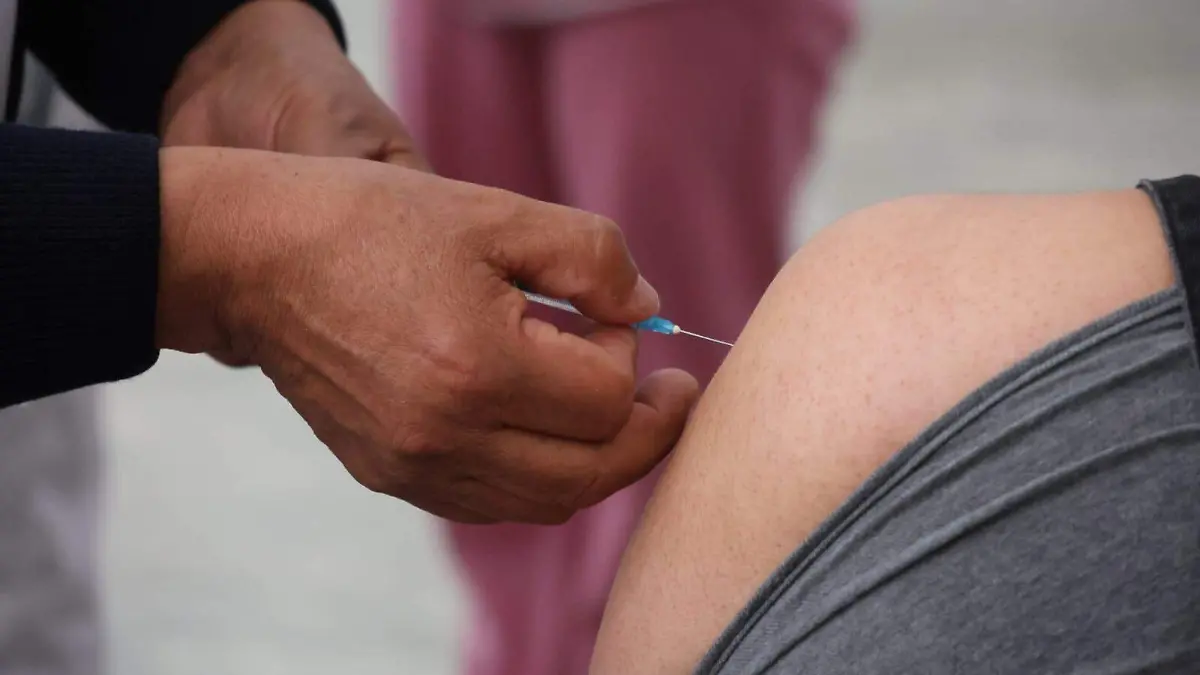 WhatsApp Image 2026-02-09 at 3.51.12 PM