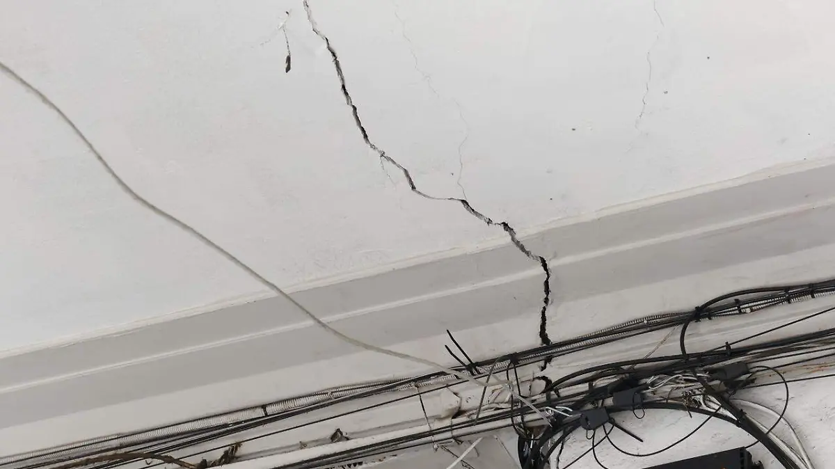 WhatsApp Image 2026-02-10 at 2.45.24 PM