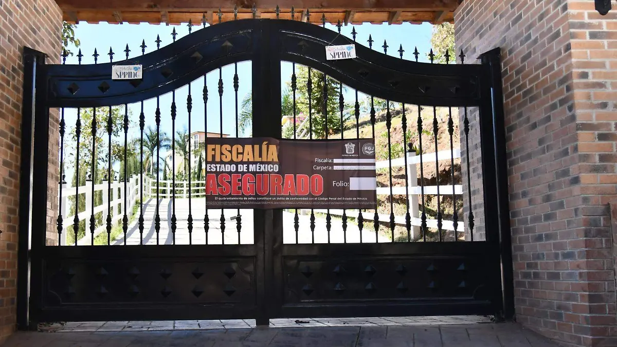 WhatsApp Image 2026-02-11 at 11.17.22