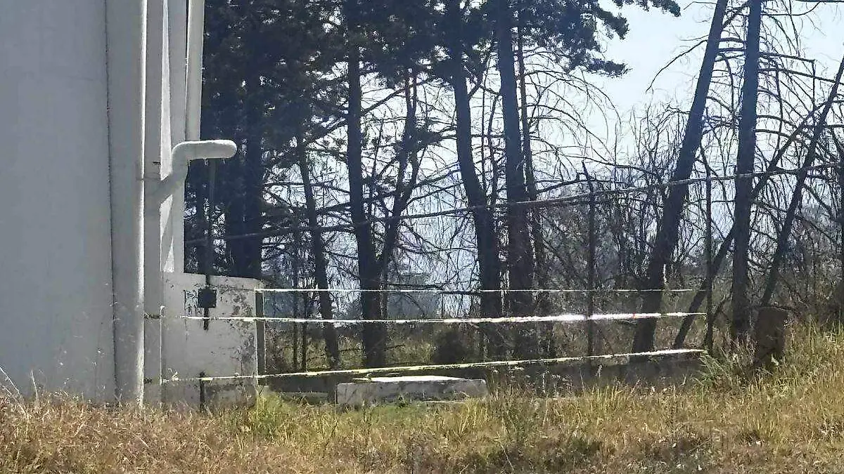 WhatsApp Image 2026-02-11 at 10.41.12