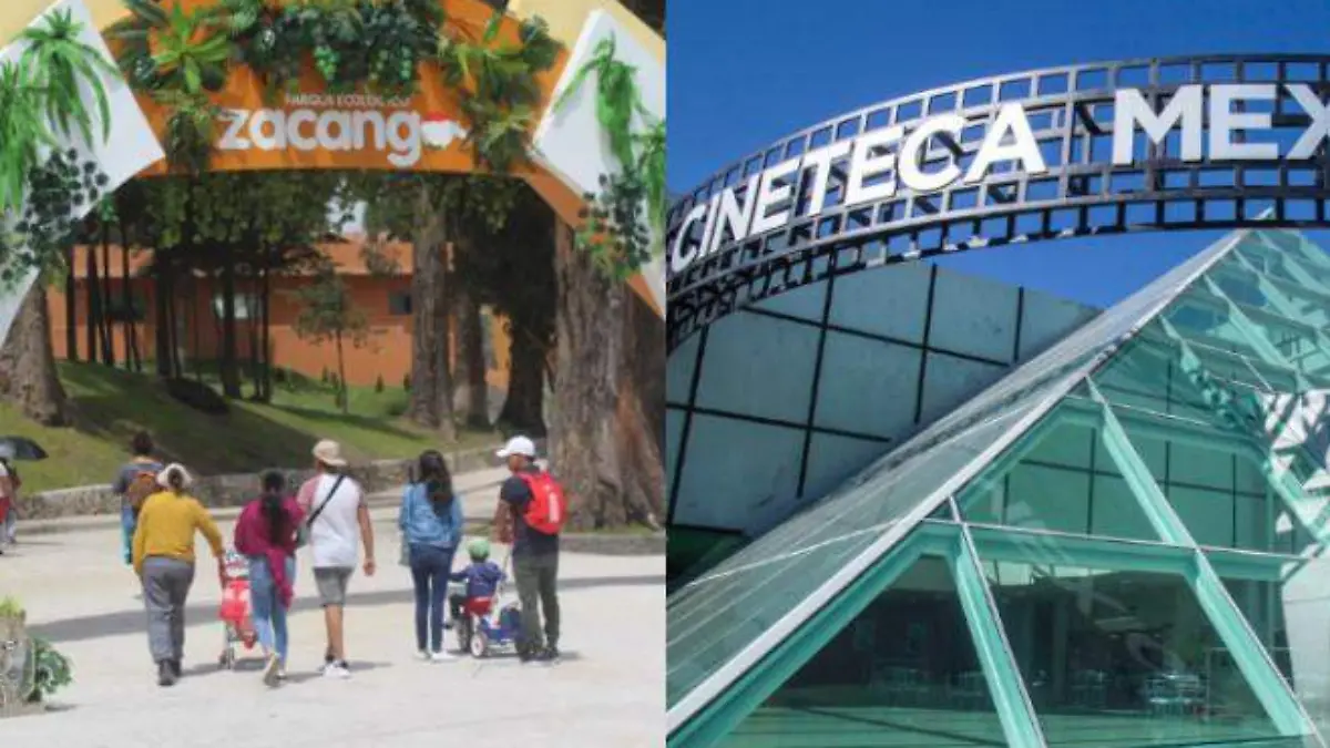 44e2d284966b221447692ea11d07ab82_XL