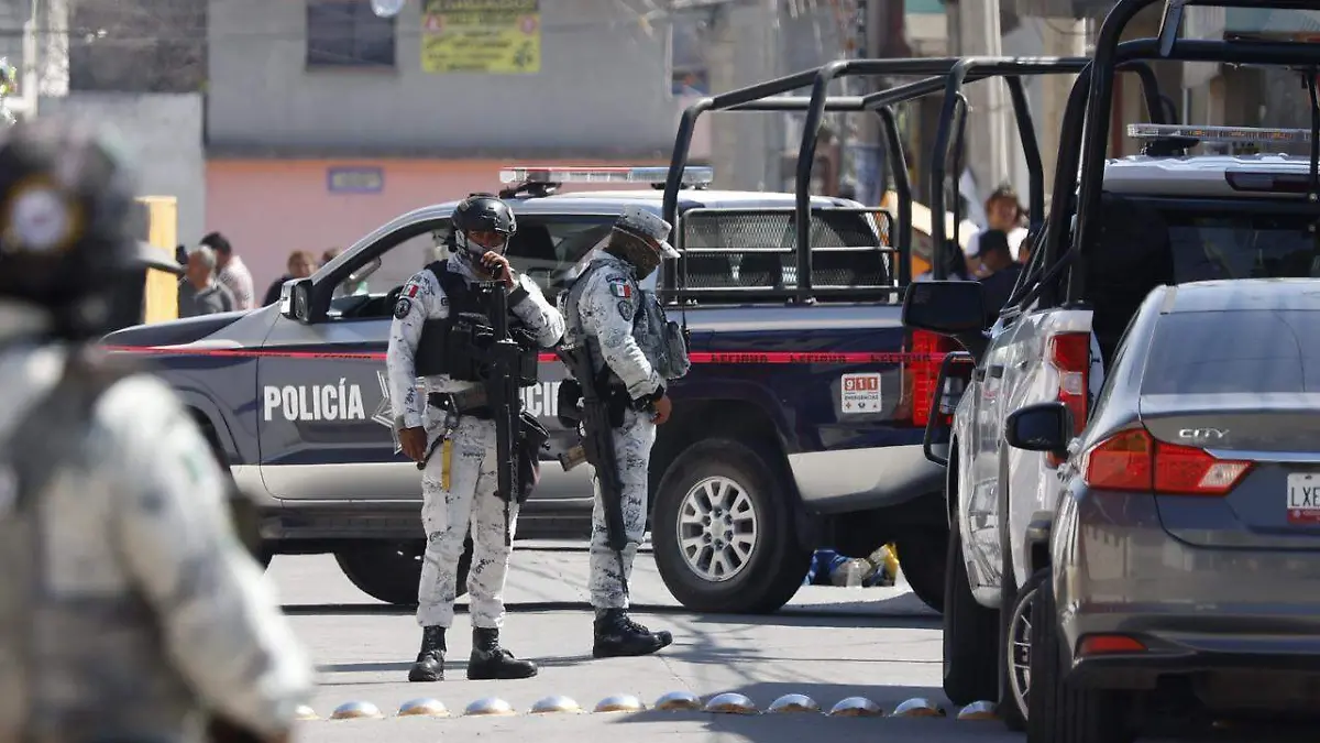 WhatsApp Image 2026-02-12 at 13.18.56