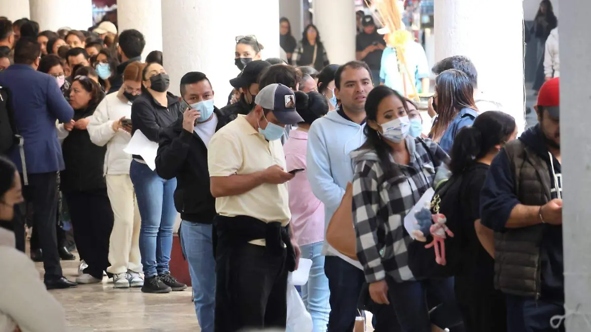 WhatsApp Image 2026-02-11 at 12.50.37 PM (1)