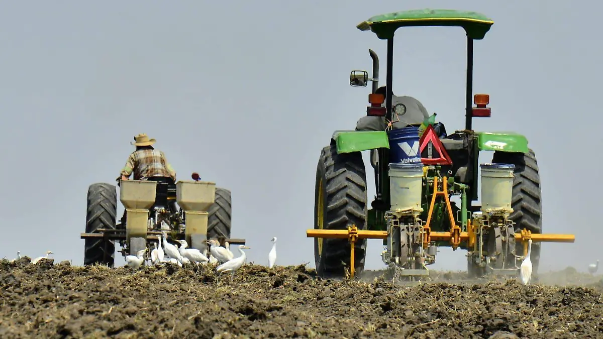 Los productores del campo atraviesan una crisis estructural profunda (2)