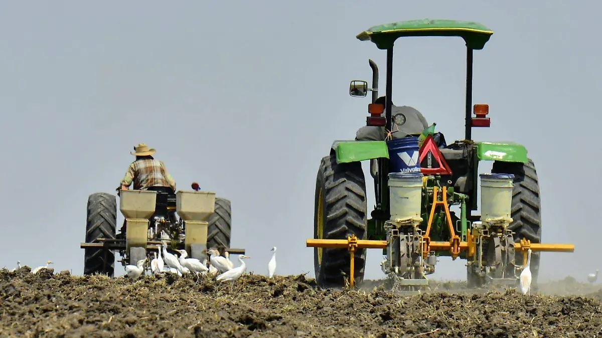 Los productores del campo atraviesan una crisis estructural profunda (2)