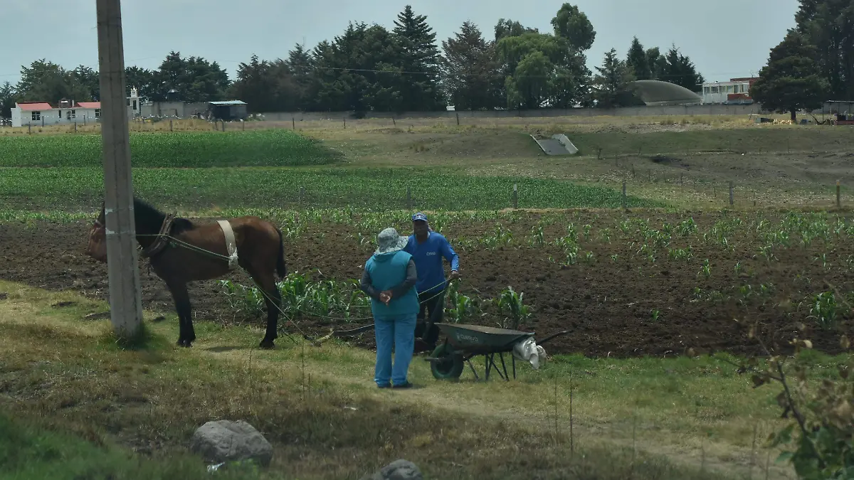 Los productores del campo atraviesan una crisis estructural profunda (3)