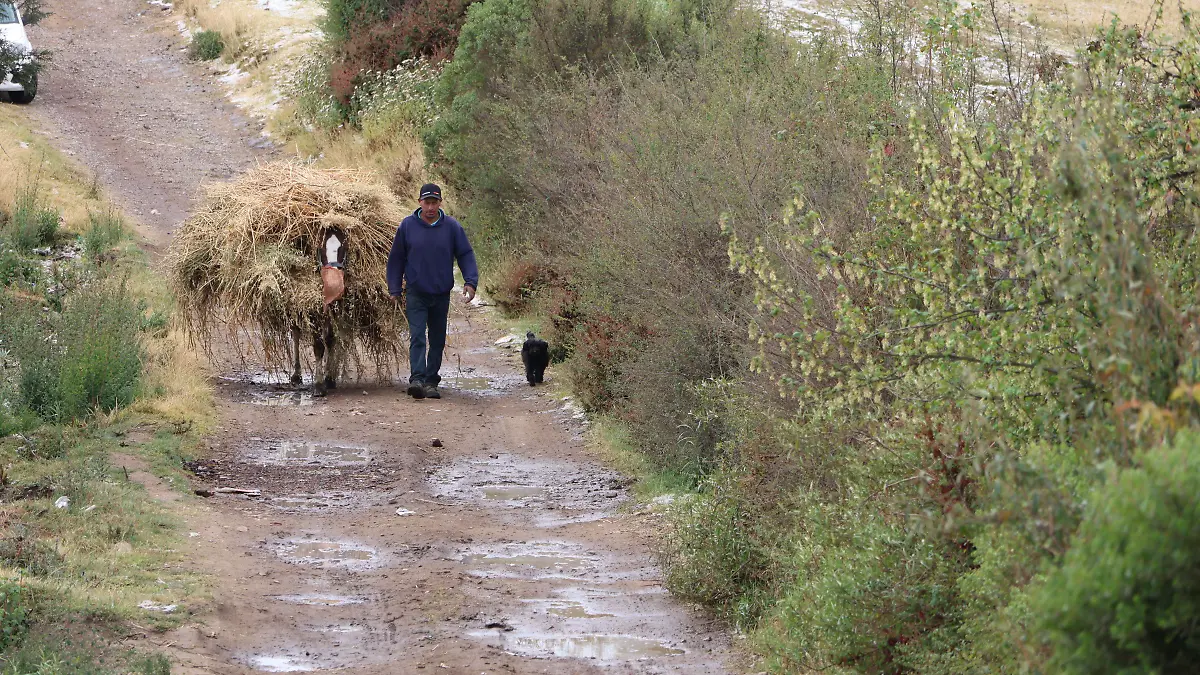 Los productores del campo atraviesan una crisis estructural profunda (2)