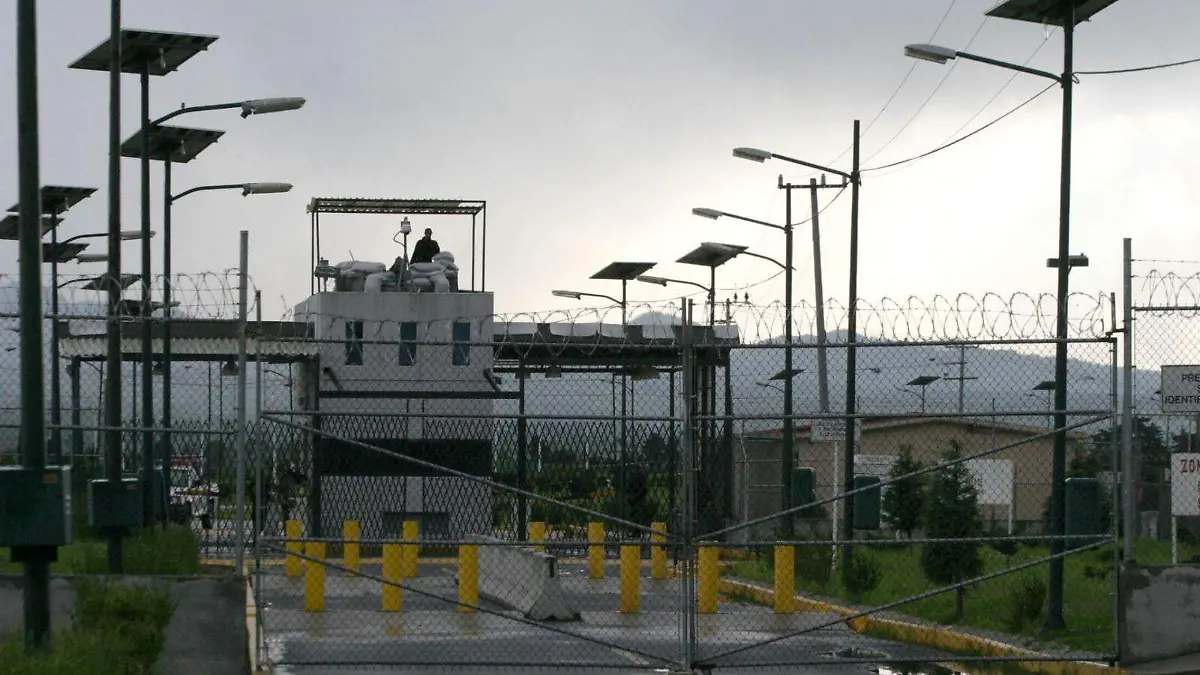 WhatsApp Image 2026-02-13 at 7.37.41 PM