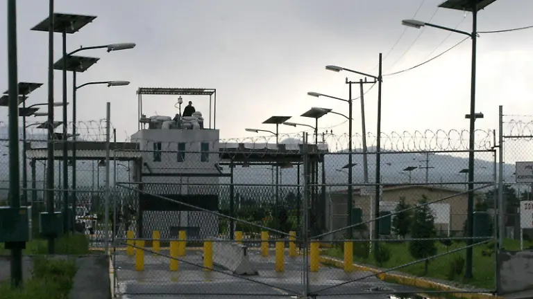 WhatsApp Image 2026-02-13 at 7.37.41 PM