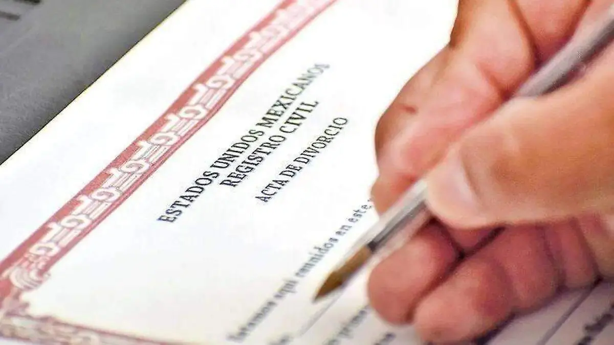 WhatsApp Image 2026-02-13 at 8.27.28 PM