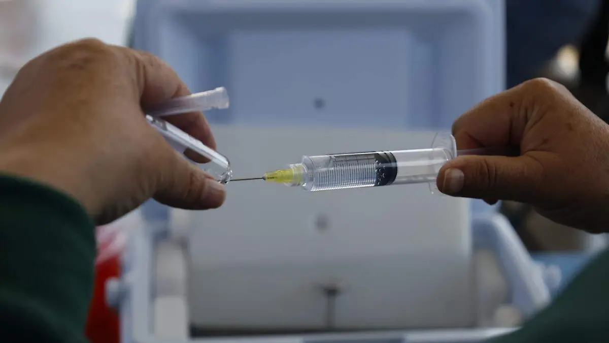 WhatsApp Image 2026-02-14 at 13.02.37