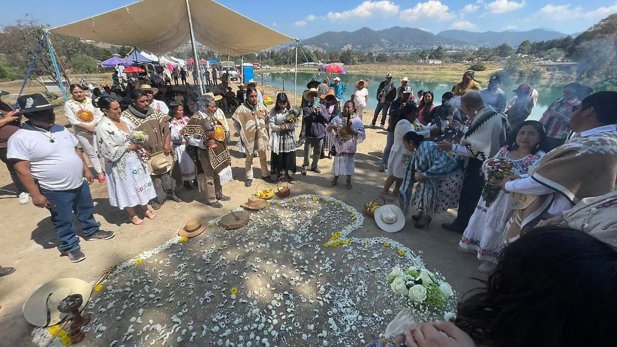 WhatsApp Image 2026-02-14 at 2.58.45 PM (1)